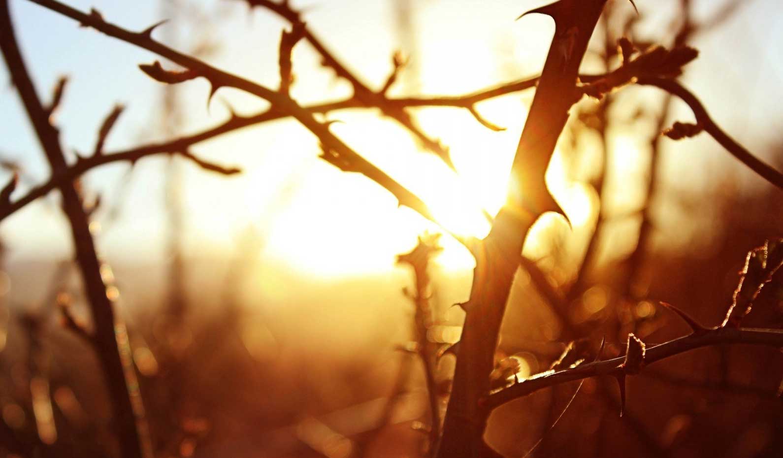 July 7, 2021, Holy Rosary (Glorious Mysteries) | Comment: Weakness and Strength