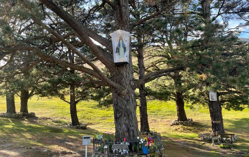 lospinosengarabandal