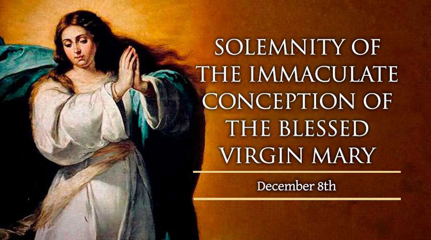 solemnityoftheimmaculate