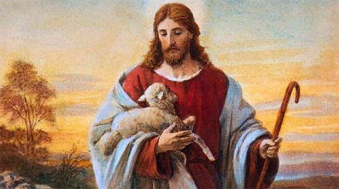 goodsheperdsunday