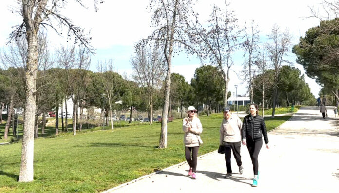 joyfulmysteriesinthepark