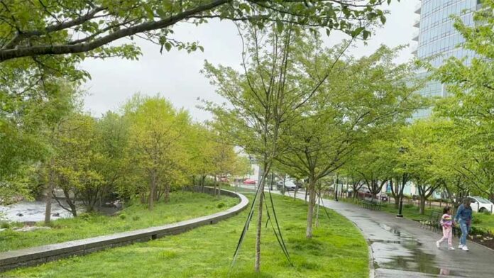 rosaryfromstamfordconn