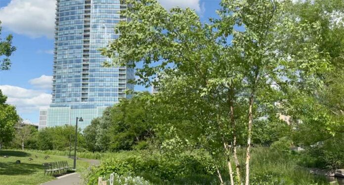 rosaryintheparkinstamford