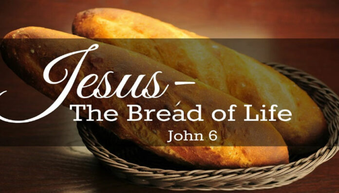 breadoflife