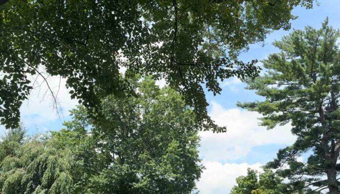 rosaryfromriversidect