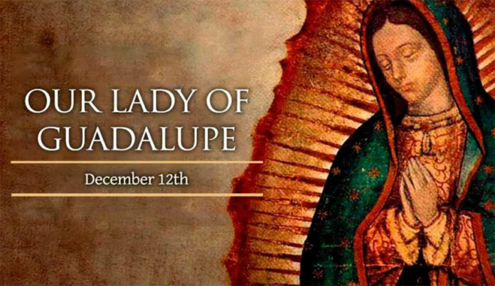 ourladyofguadalupe