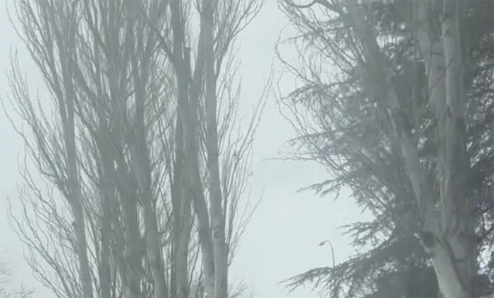 rosarysaturdaymadrid