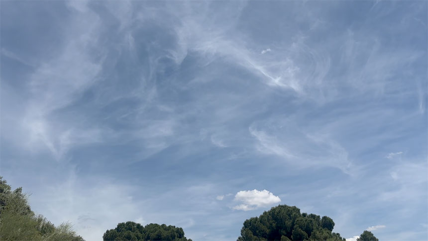 RosaryMay262025-12-57-yesterday