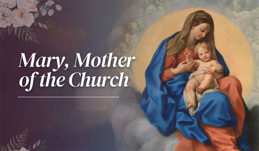 marymotherofthecruch