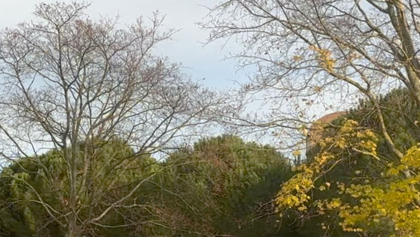 stsaturninoftoulouse