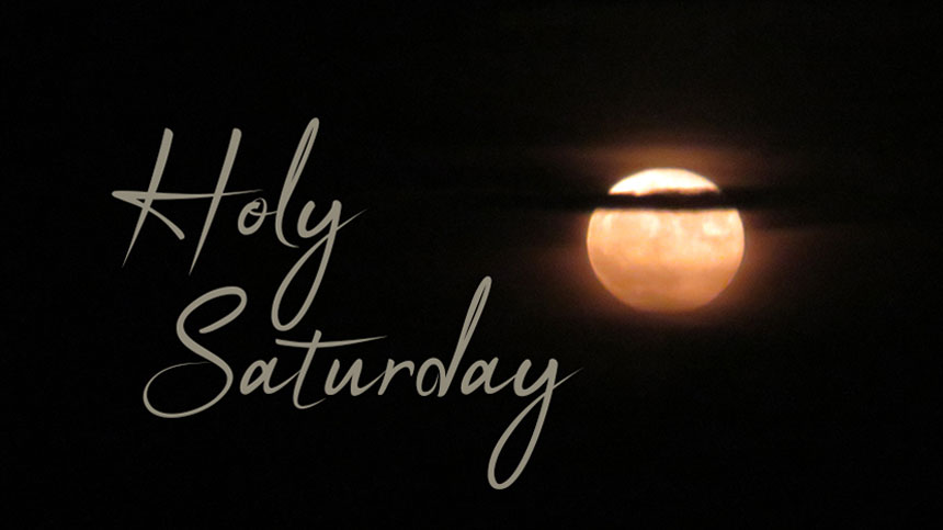 Google's Veo AI video generation with magical deer and crystalline effects