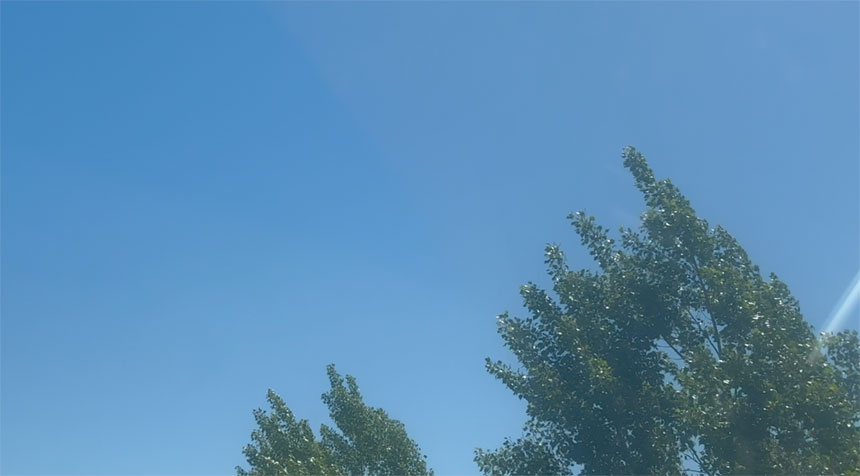 Google's Veo AI video generation with magical deer and crystalline effects