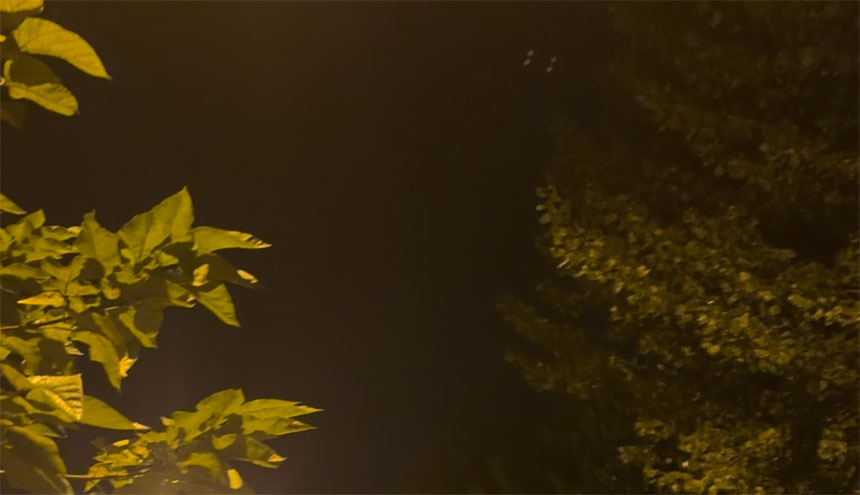 Google's Veo AI video generation with magical deer and crystalline effects